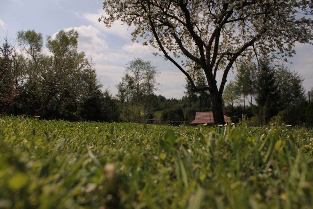 Uroczysko Villa Леско Екстериор снимка